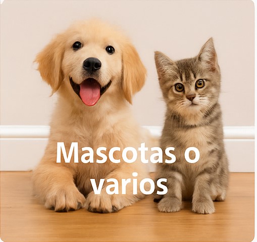 Promo Mascotas o varios